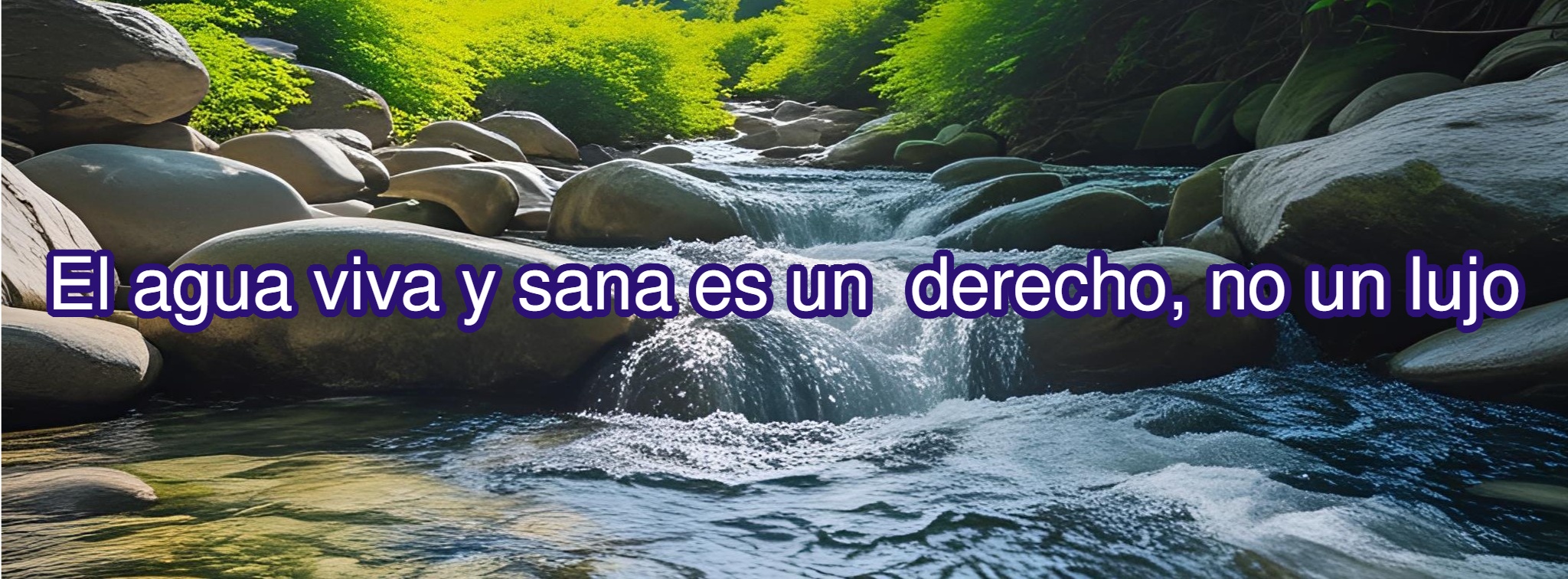 Imagen principal Manifiesto del Agua Viva